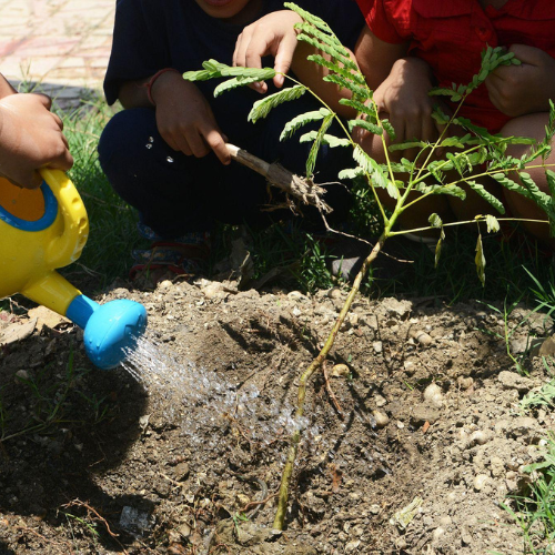 Environment Day